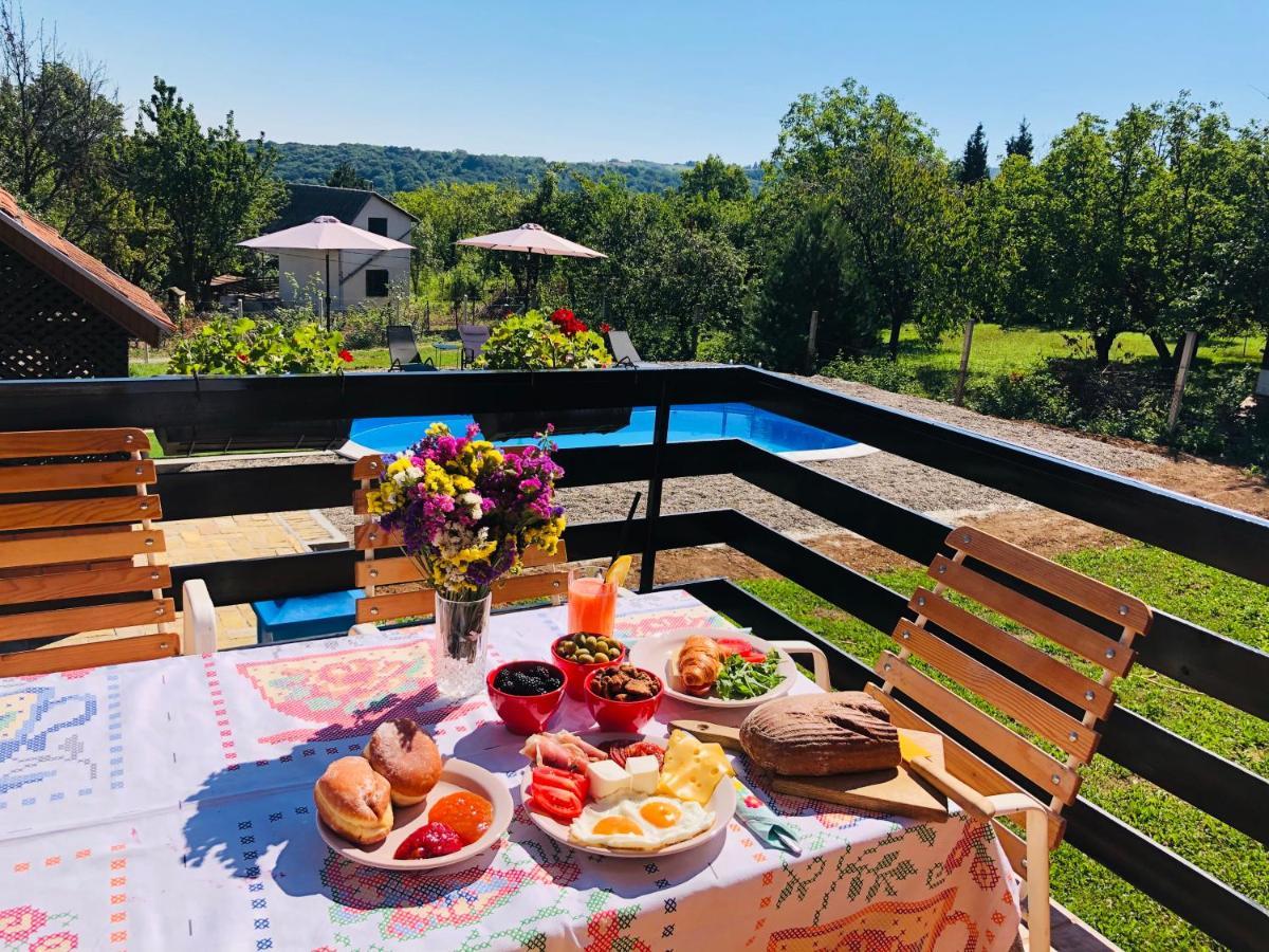 Willa Fruska Pool House Sremska Kamenica Zewnętrze zdjęcie