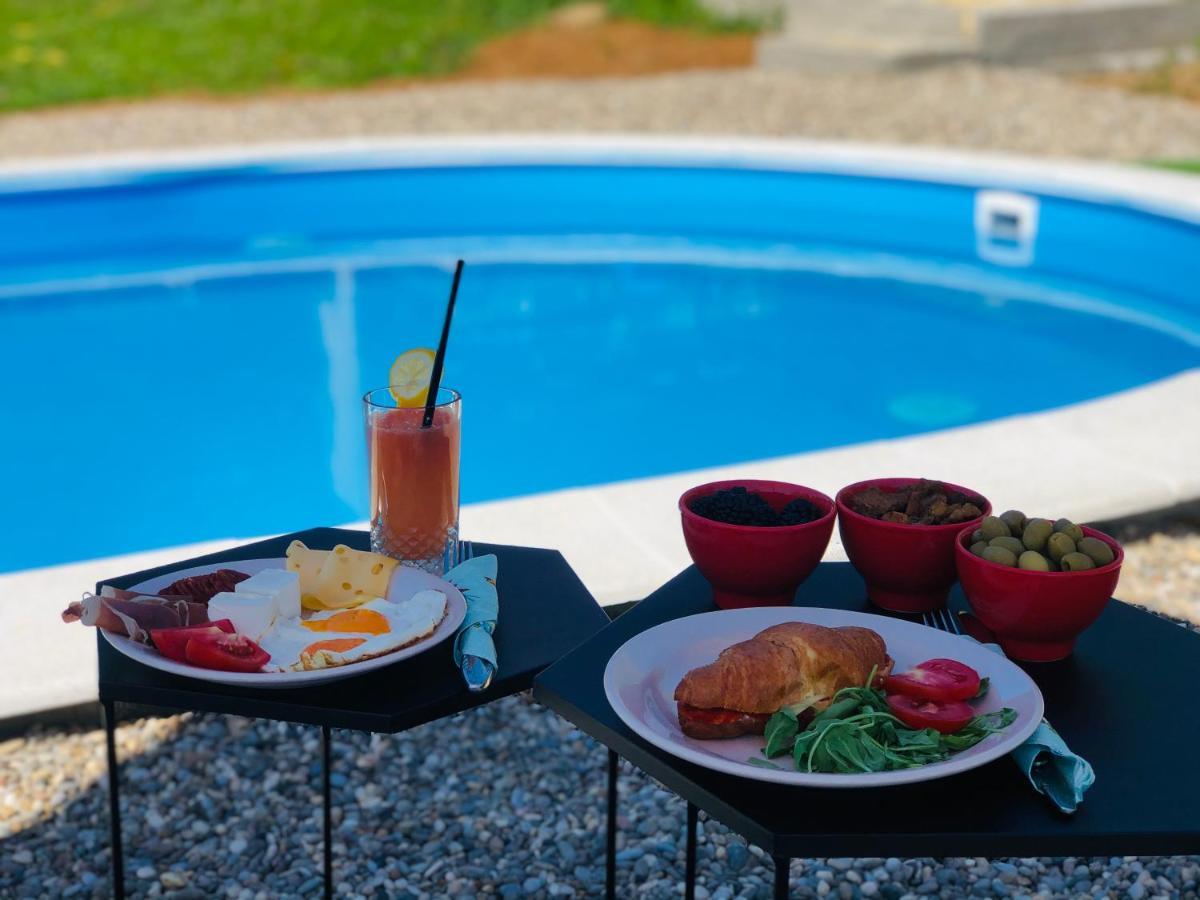 Willa Fruska Pool House Sremska Kamenica Zewnętrze zdjęcie