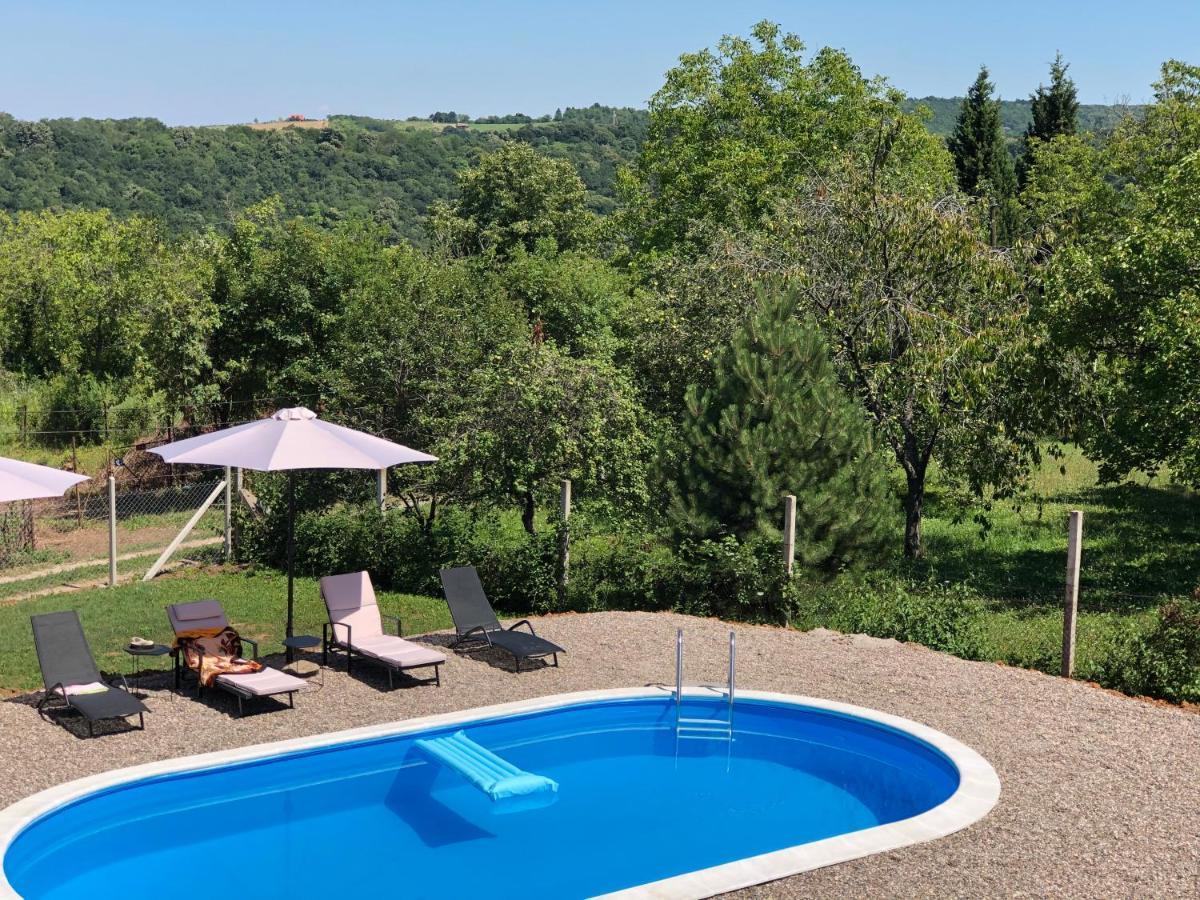 Willa Fruska Pool House Sremska Kamenica Zewnętrze zdjęcie