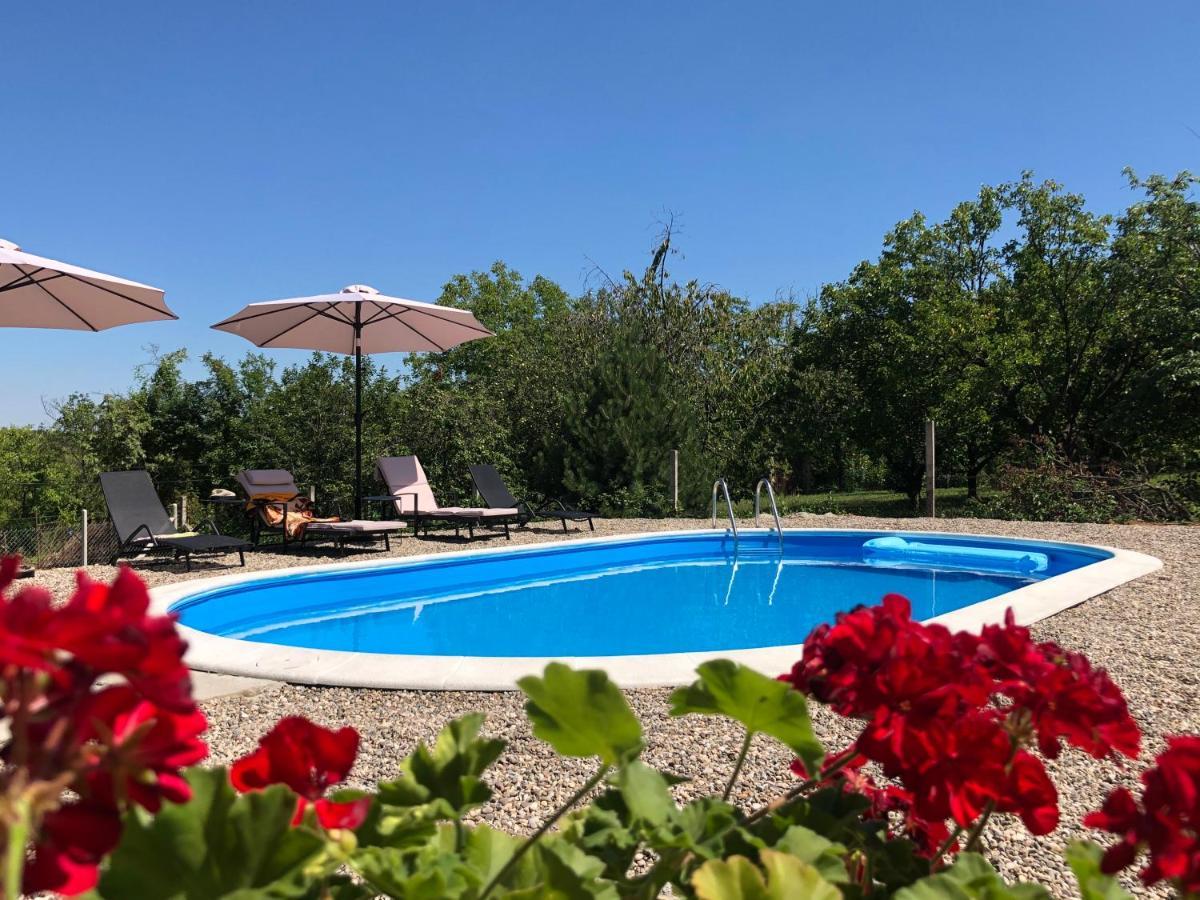 Willa Fruska Pool House Sremska Kamenica Zewnętrze zdjęcie