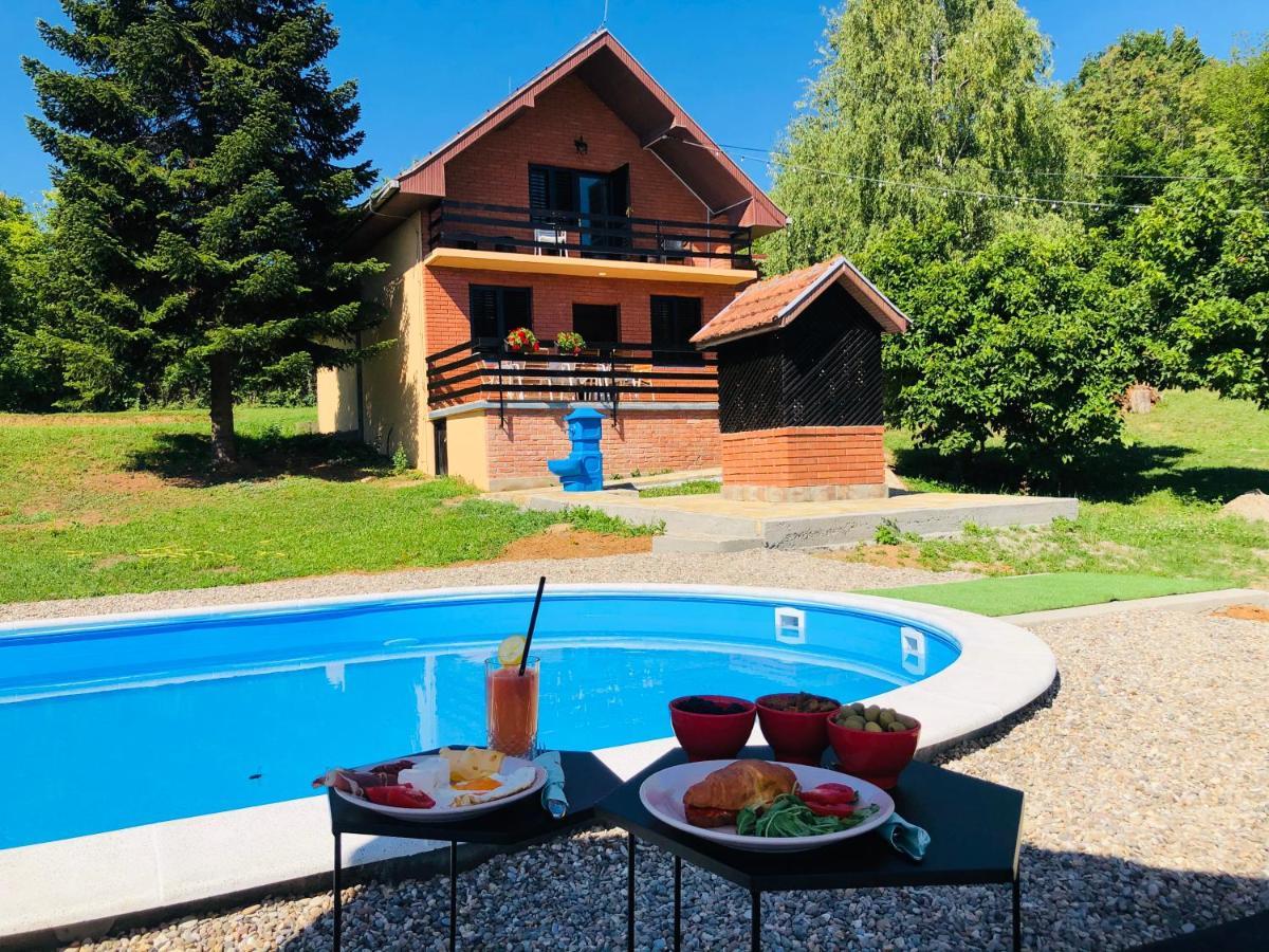 Willa Fruska Pool House Sremska Kamenica Zewnętrze zdjęcie