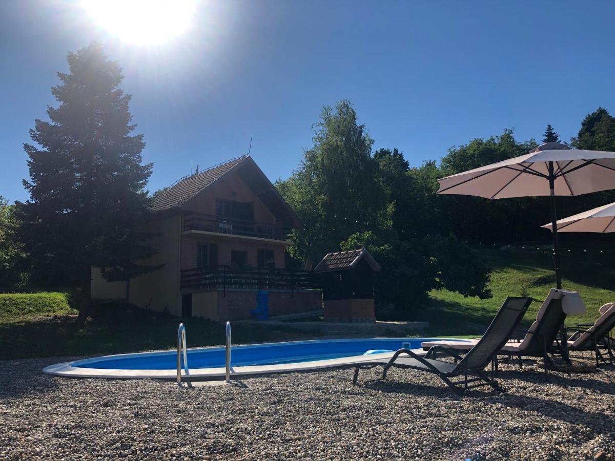 Willa Fruska Pool House Sremska Kamenica Zewnętrze zdjęcie
