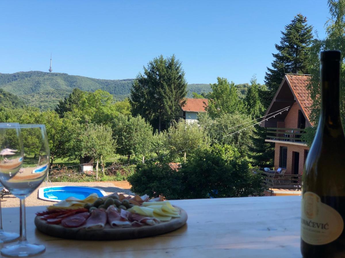 Willa Fruska Pool House Sremska Kamenica Zewnętrze zdjęcie