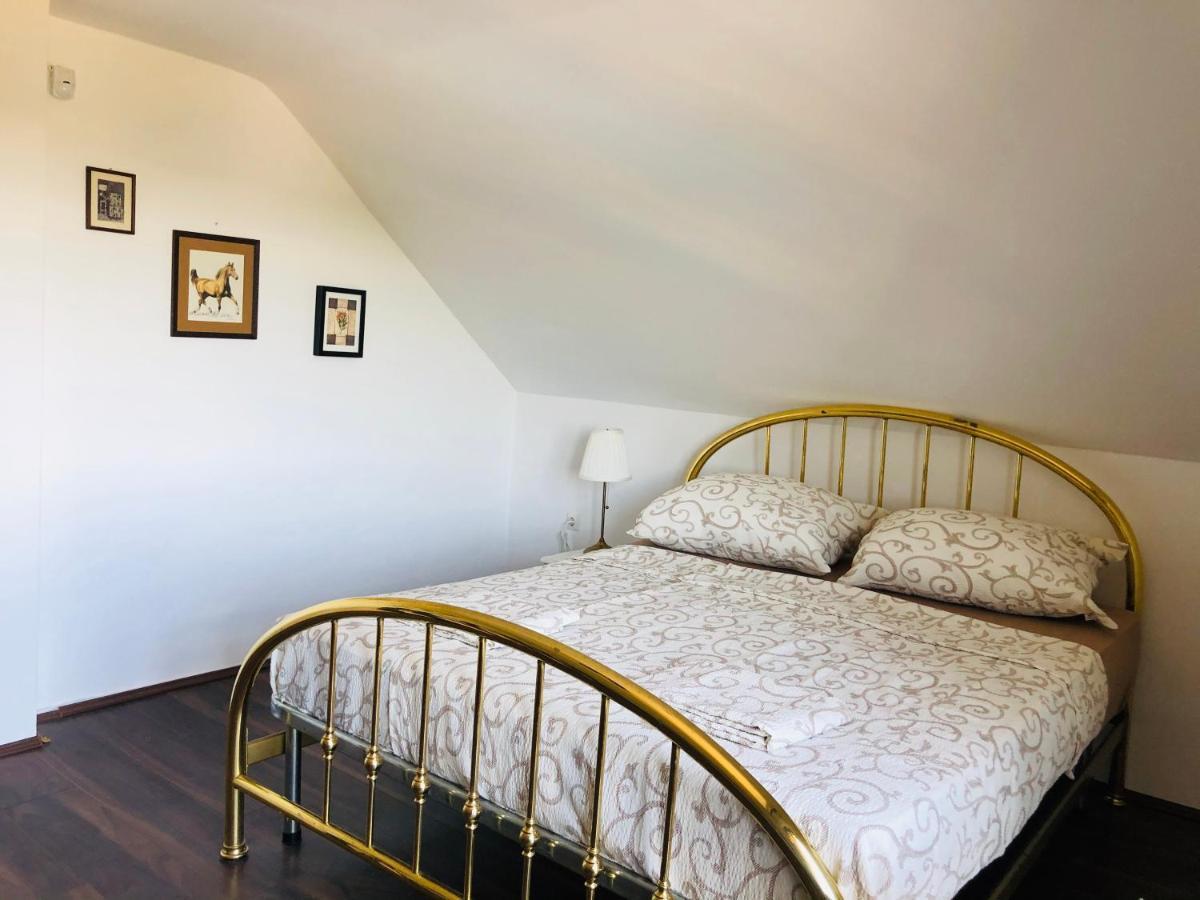 Willa Fruska Pool House Sremska Kamenica Zewnętrze zdjęcie