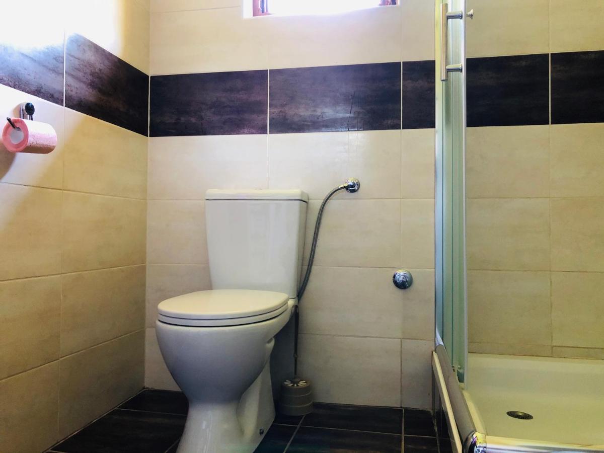 Willa Fruska Pool House Sremska Kamenica Zewnętrze zdjęcie
