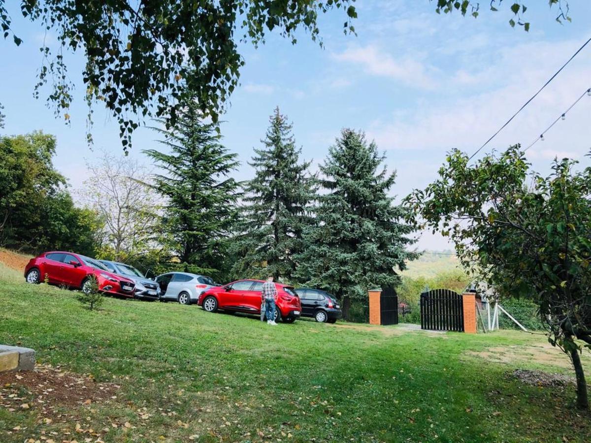 Willa Fruska Pool House Sremska Kamenica Zewnętrze zdjęcie
