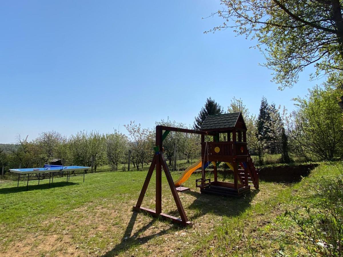 Willa Fruska Pool House Sremska Kamenica Zewnętrze zdjęcie