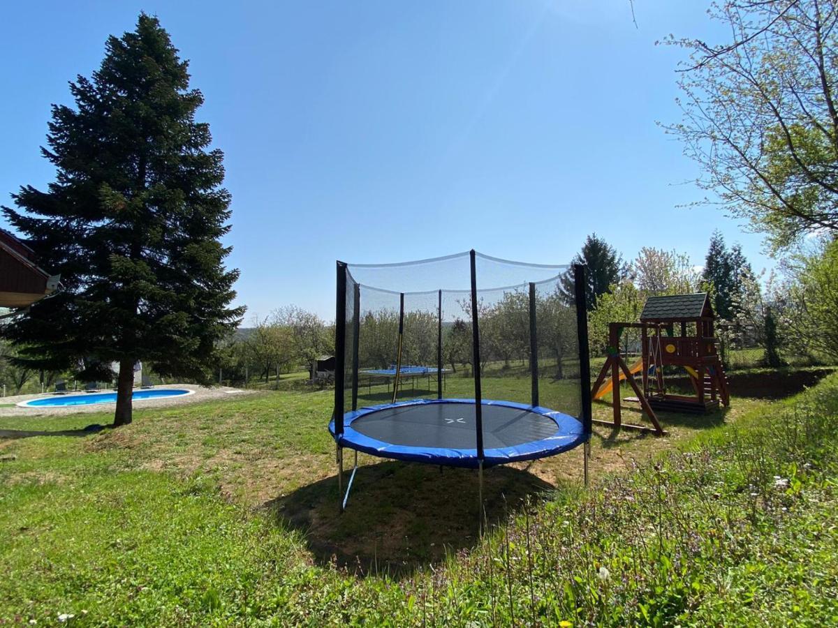 Willa Fruska Pool House Sremska Kamenica Zewnętrze zdjęcie
