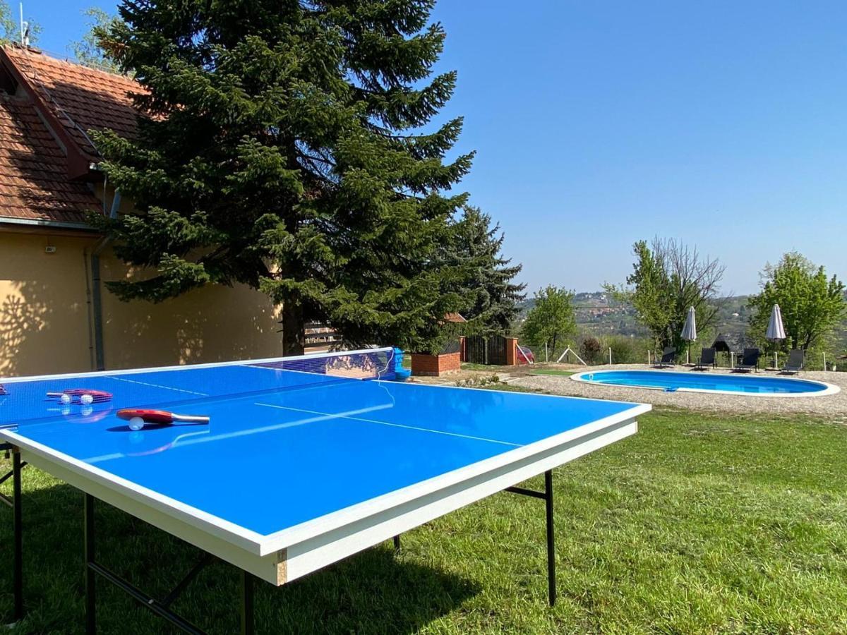 Willa Fruska Pool House Sremska Kamenica Zewnętrze zdjęcie