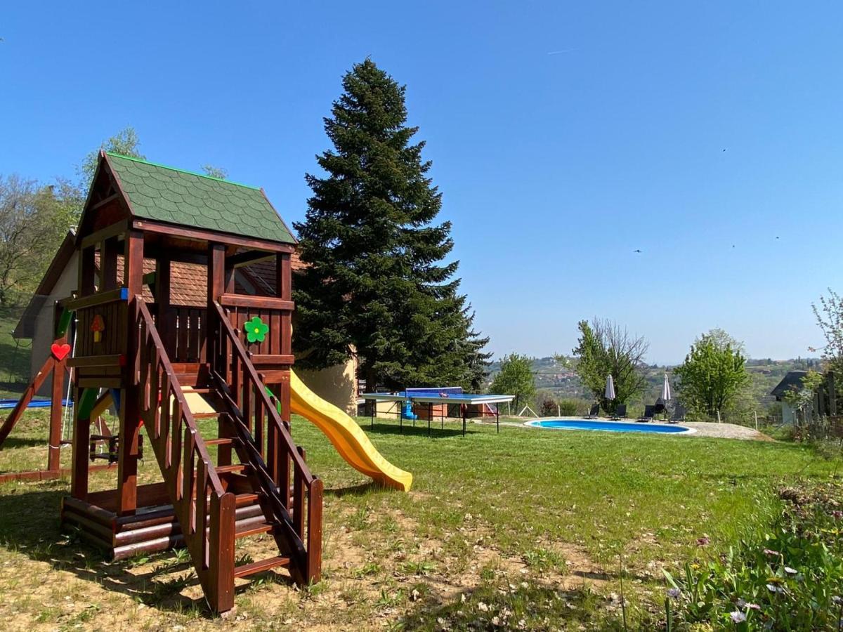 Willa Fruska Pool House Sremska Kamenica Zewnętrze zdjęcie