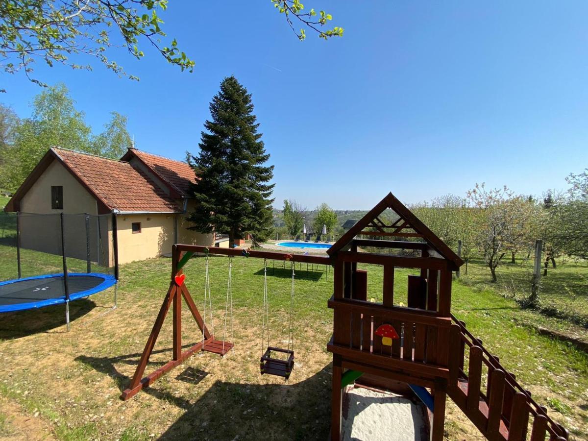 Willa Fruska Pool House Sremska Kamenica Zewnętrze zdjęcie