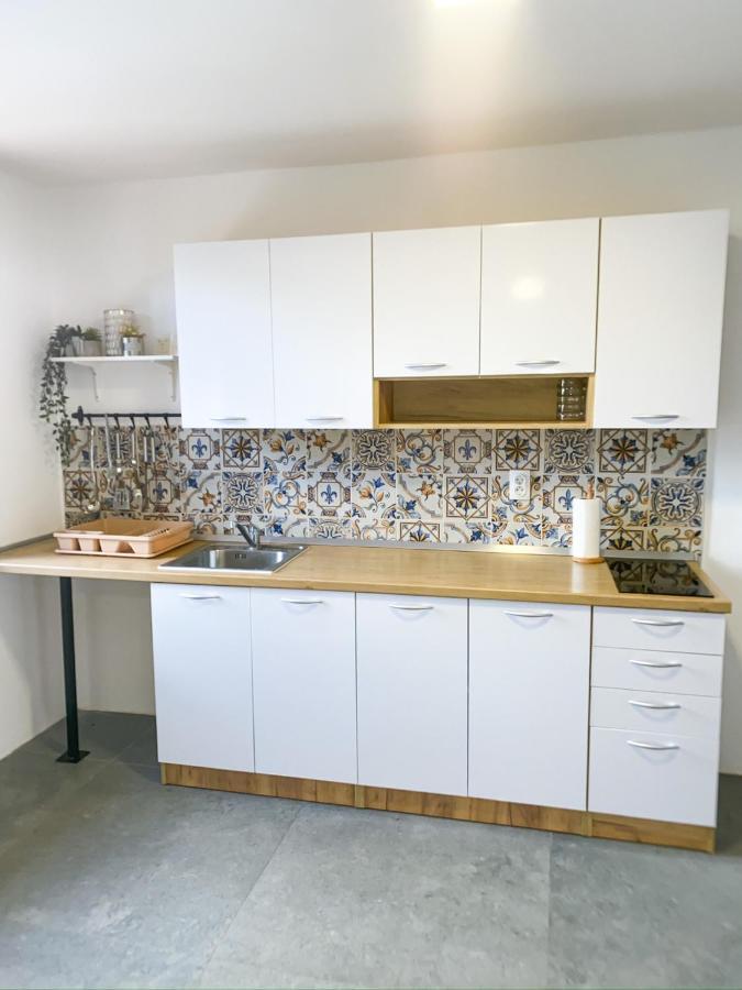 Willa Fruska Pool House Sremska Kamenica Zewnętrze zdjęcie
