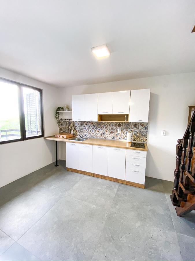 Willa Fruska Pool House Sremska Kamenica Zewnętrze zdjęcie
