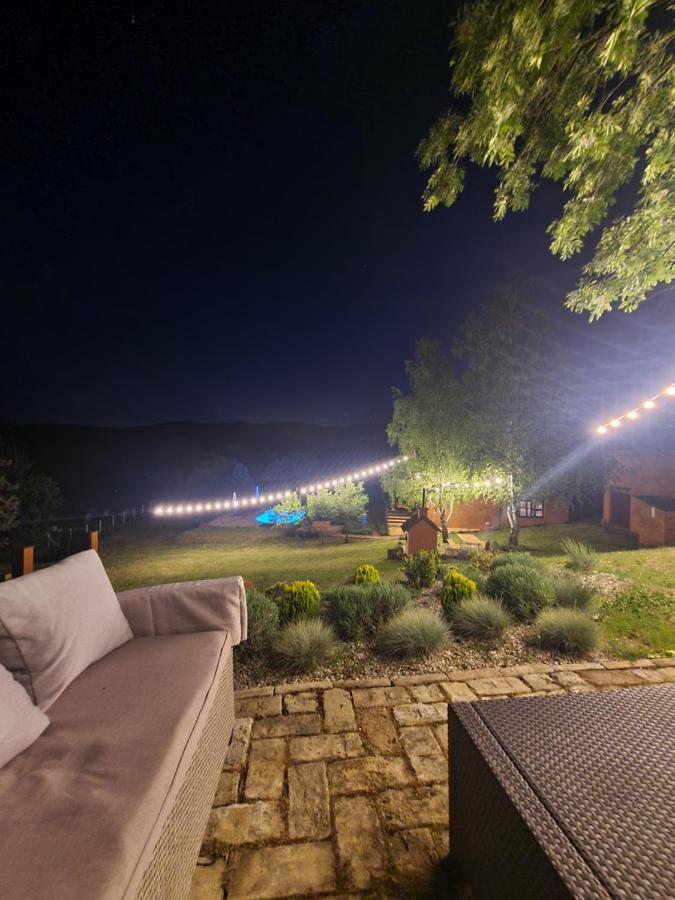 Willa Fruska Pool House Sremska Kamenica Zewnętrze zdjęcie