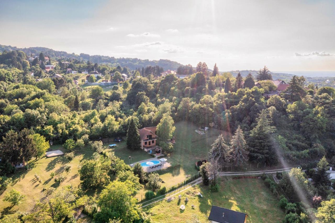 Willa Fruska Pool House Sremska Kamenica Zewnętrze zdjęcie