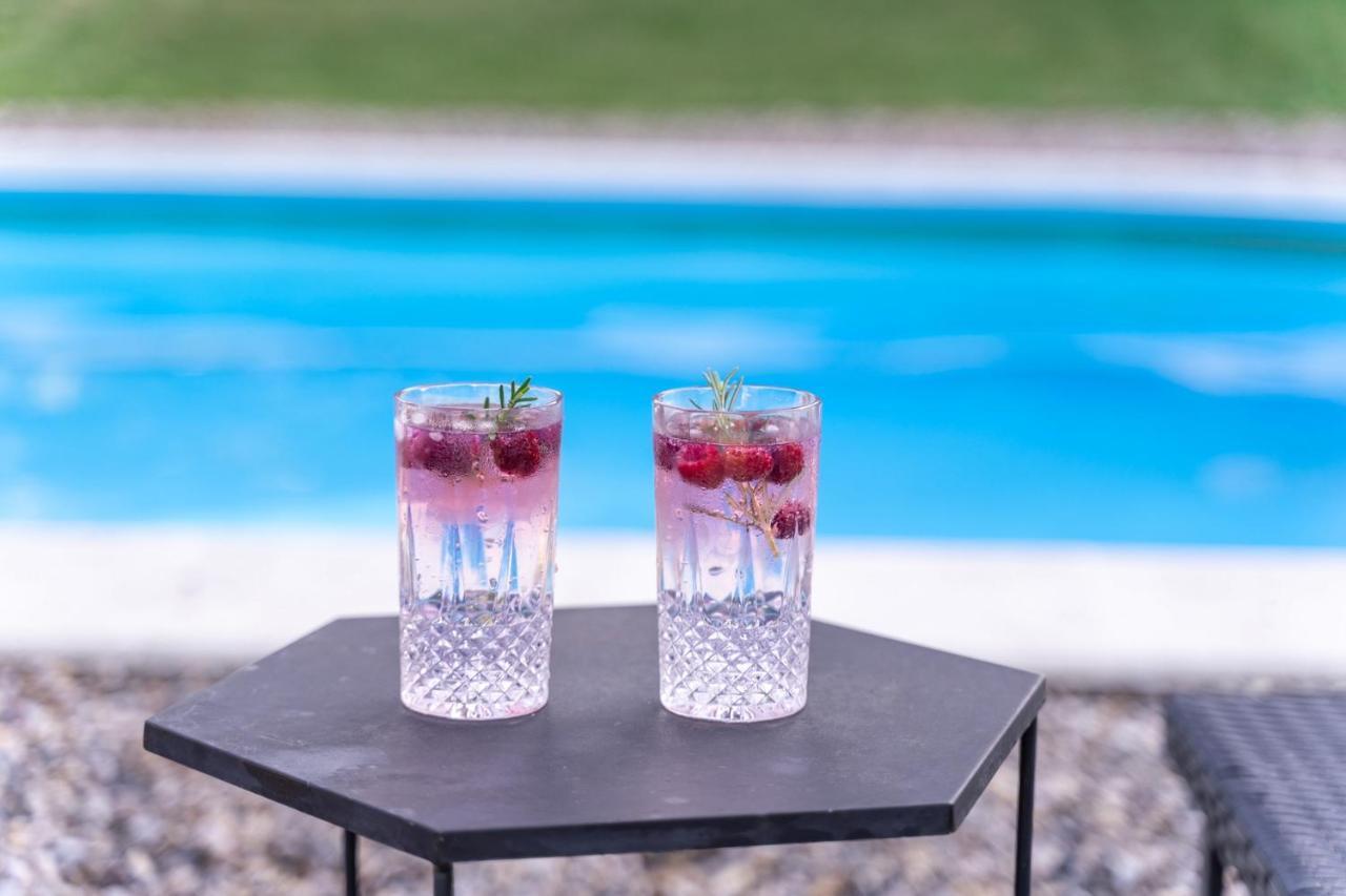 Willa Fruska Pool House Sremska Kamenica Zewnętrze zdjęcie