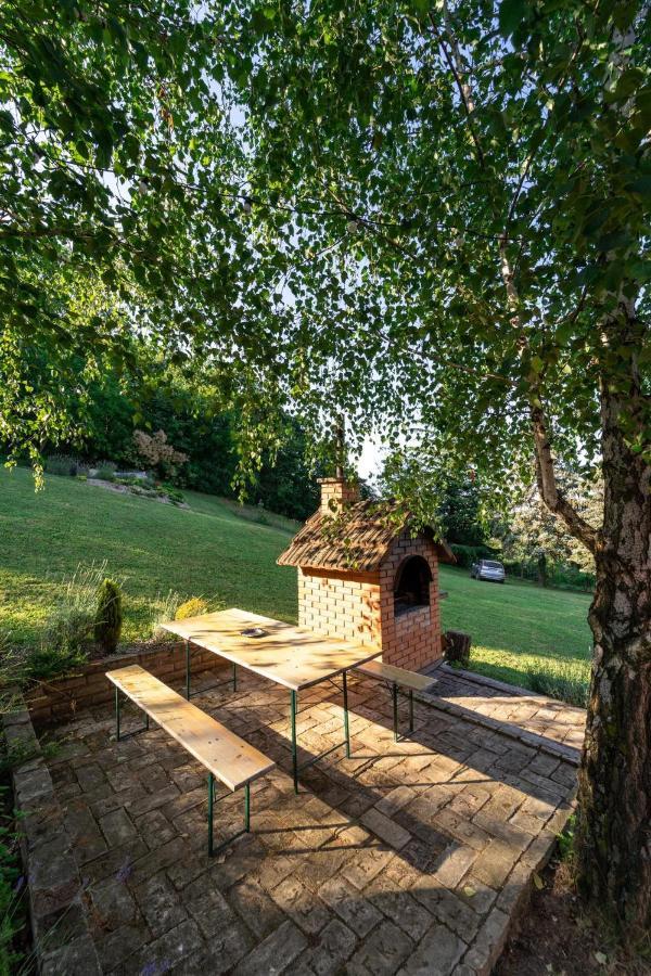 Willa Fruska Pool House Sremska Kamenica Zewnętrze zdjęcie