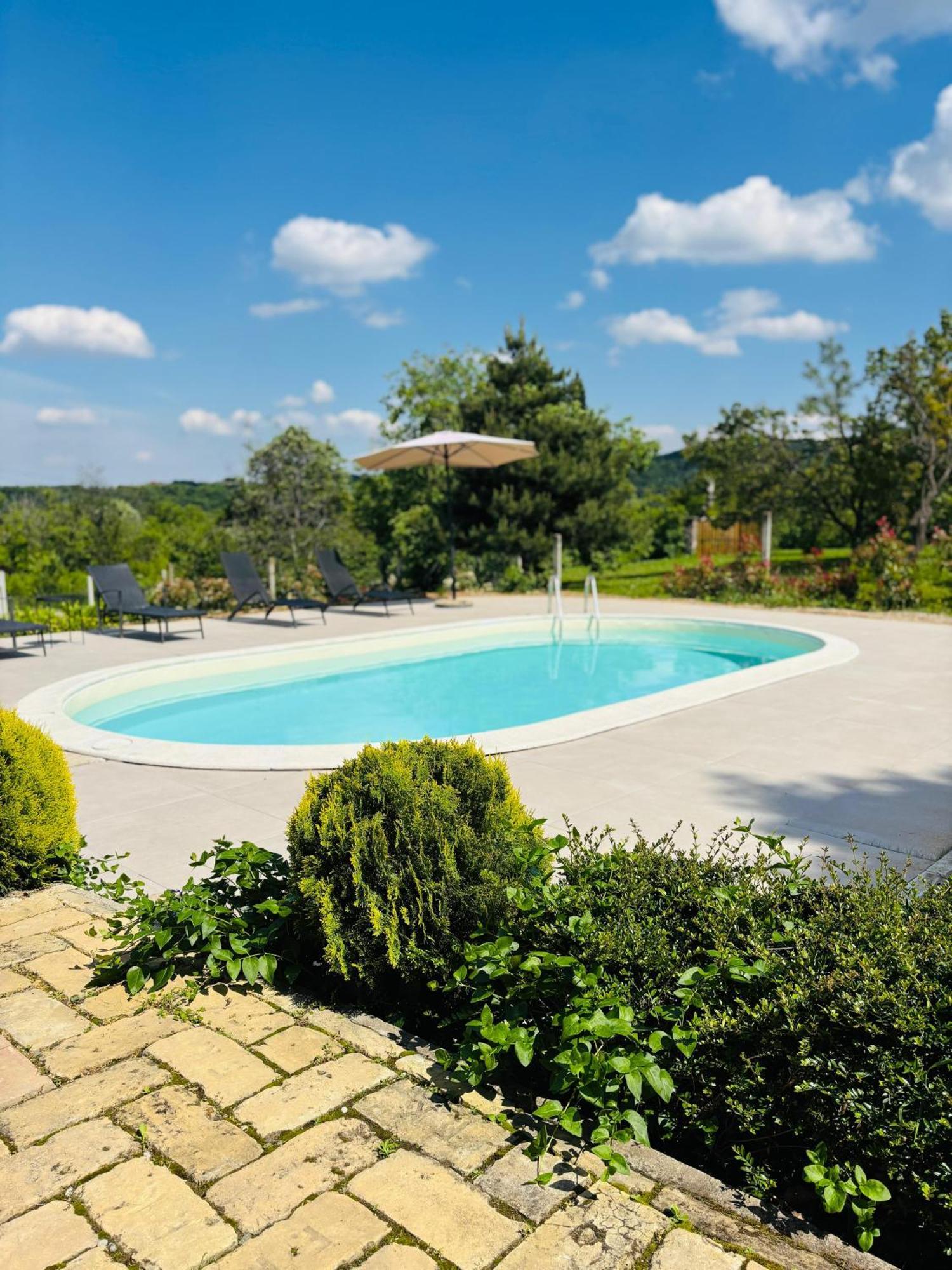 Willa Fruska Pool House Sremska Kamenica Zewnętrze zdjęcie