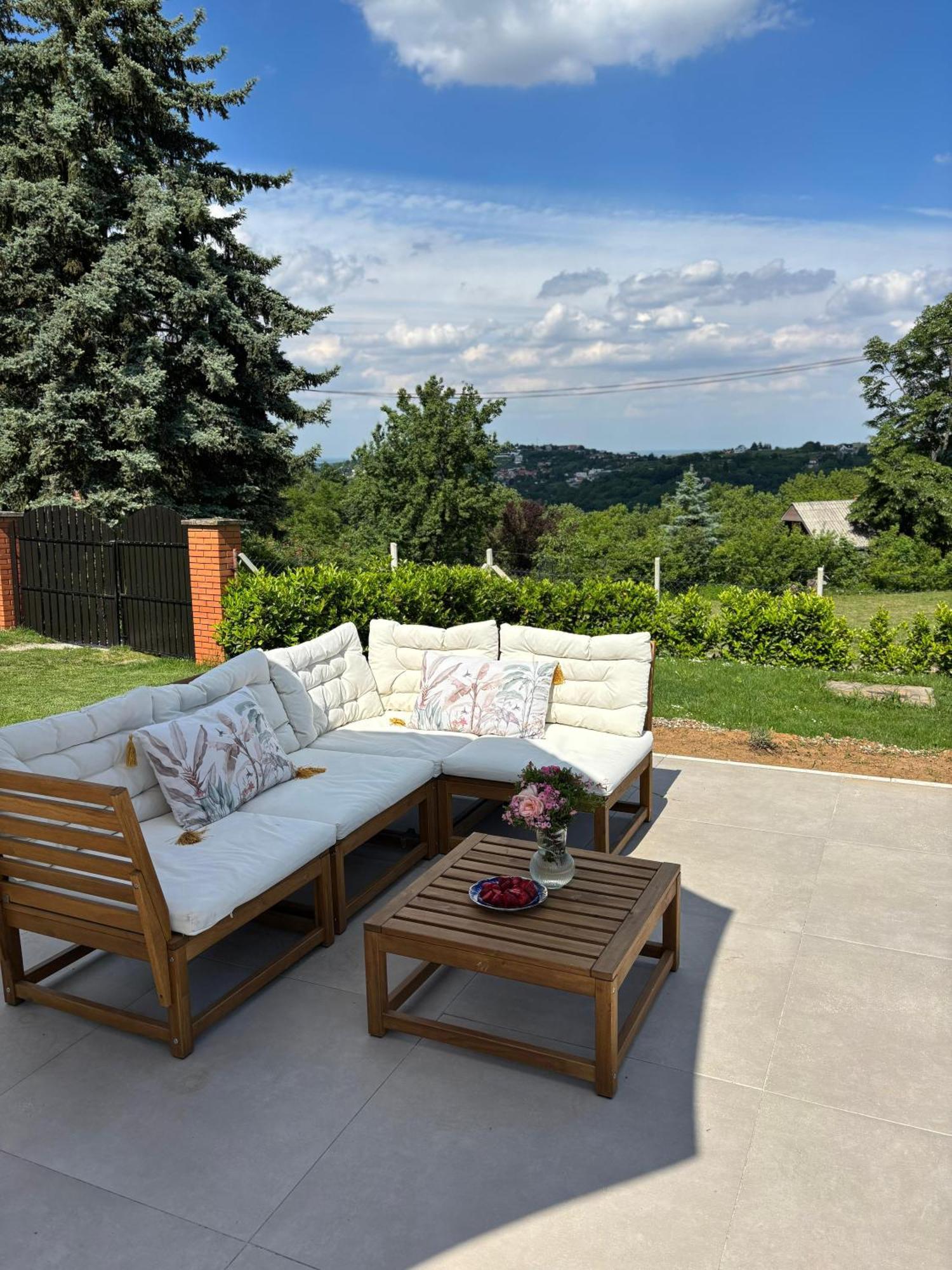 Willa Fruska Pool House Sremska Kamenica Zewnętrze zdjęcie