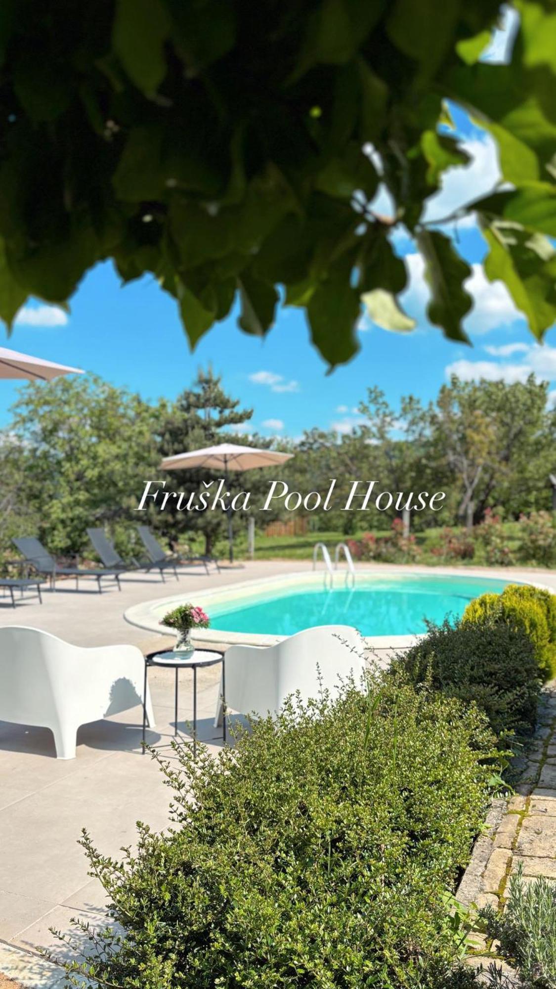 Willa Fruska Pool House Sremska Kamenica Zewnętrze zdjęcie