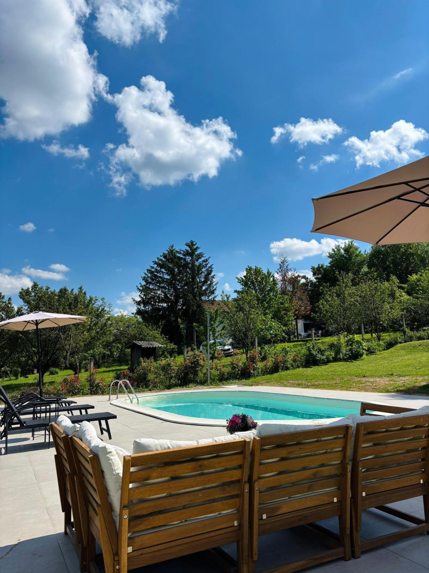 Willa Fruska Pool House Sremska Kamenica Zewnętrze zdjęcie