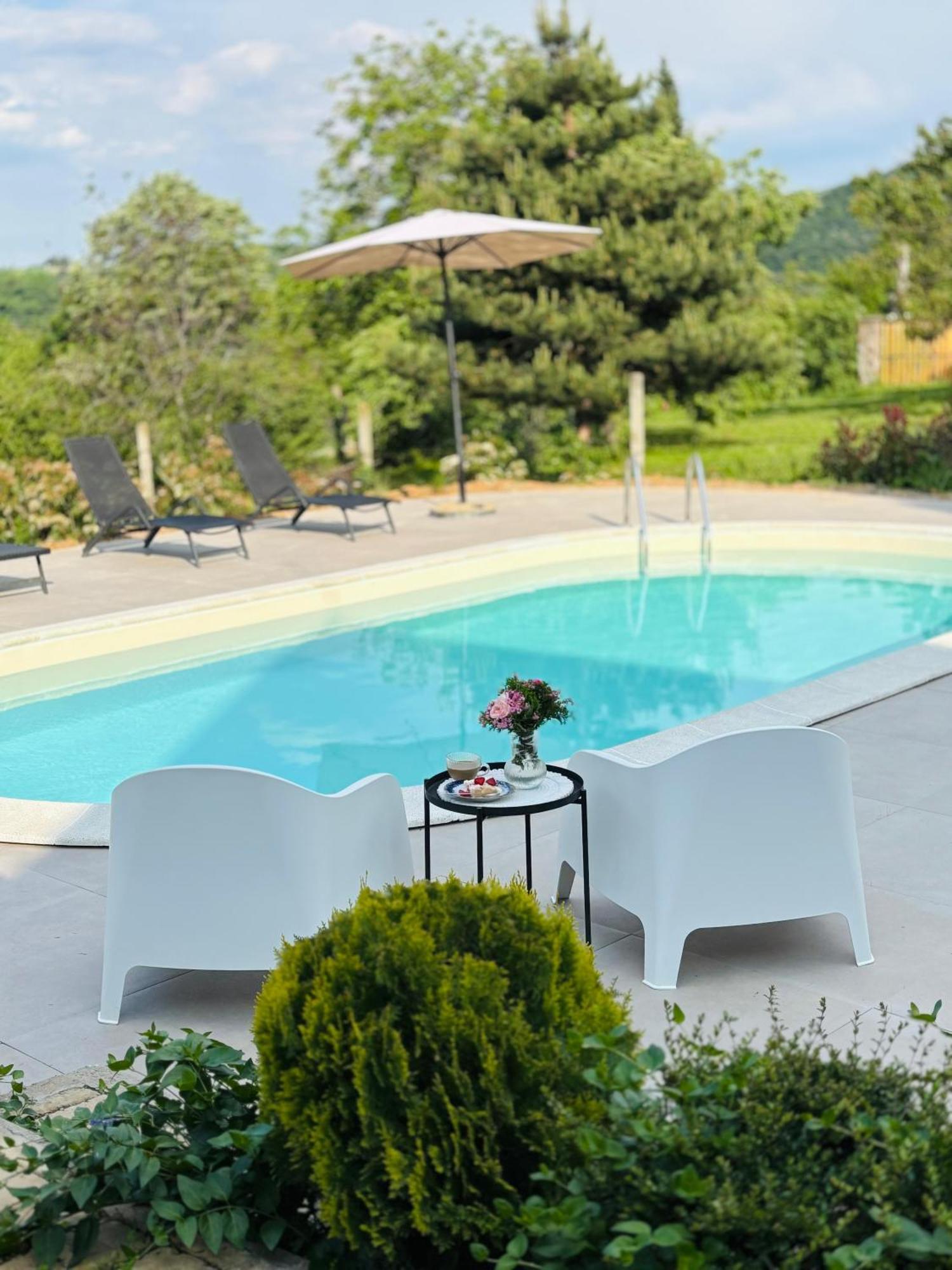 Willa Fruska Pool House Sremska Kamenica Zewnętrze zdjęcie
