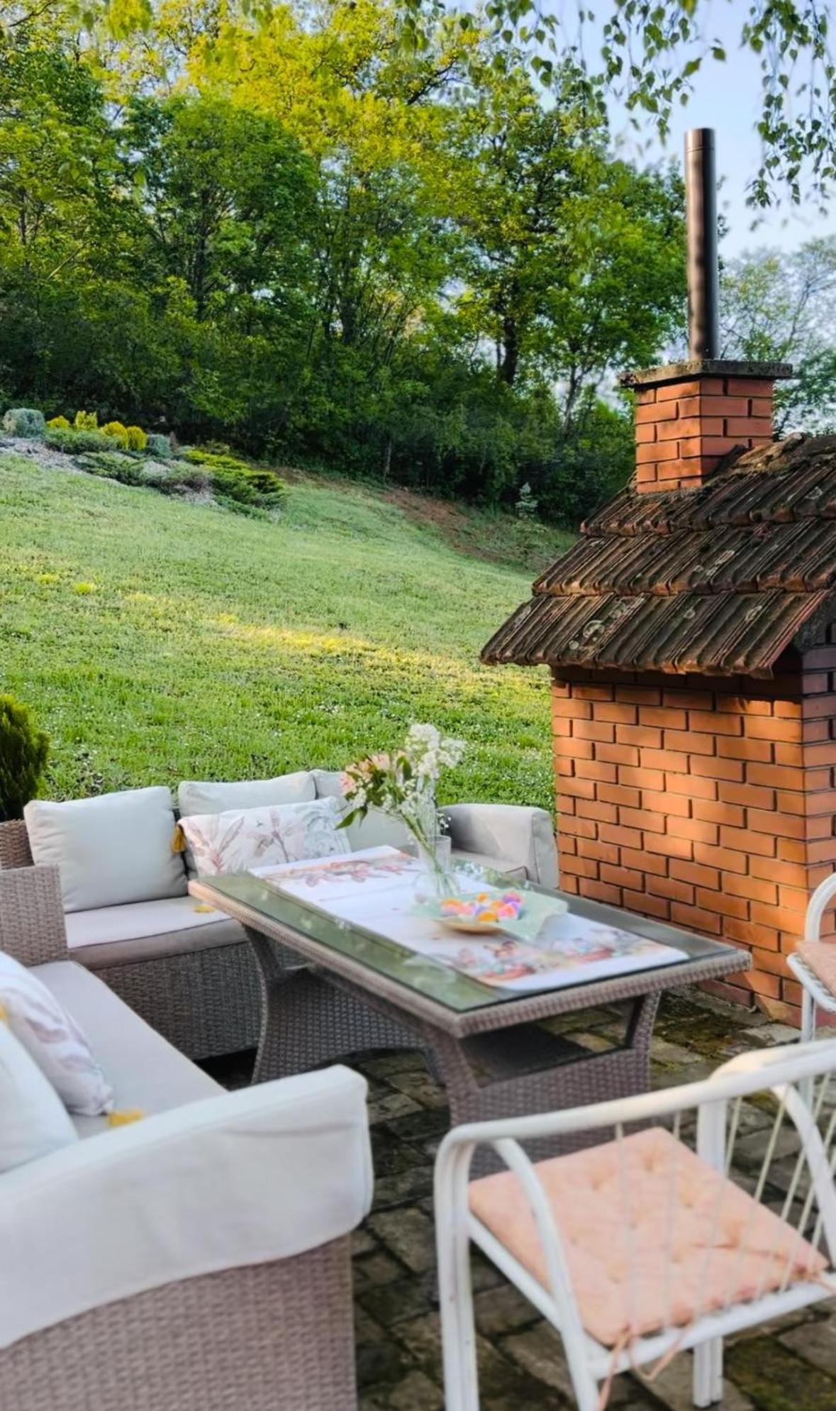 Willa Fruska Pool House Sremska Kamenica Zewnętrze zdjęcie